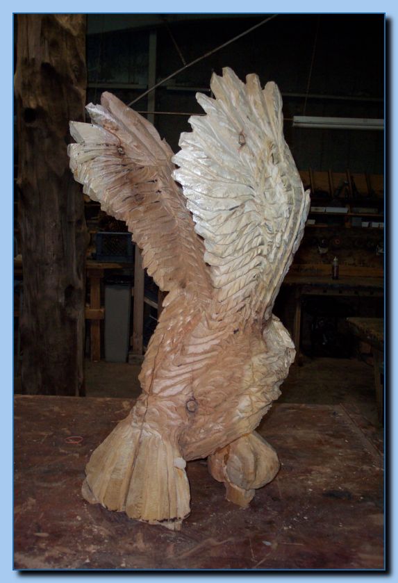 2-13 eagle  perched, half-spread wings-archive-0009